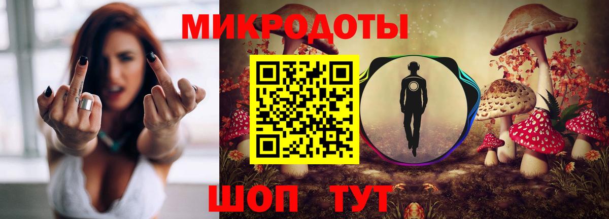Богородицк  Псилоцибиновые грибы Psilocybine cubensis  Вход с VPN 
