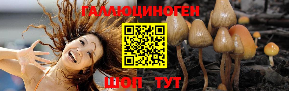 Псилоцибиновые грибы прущие грибы Богородицк